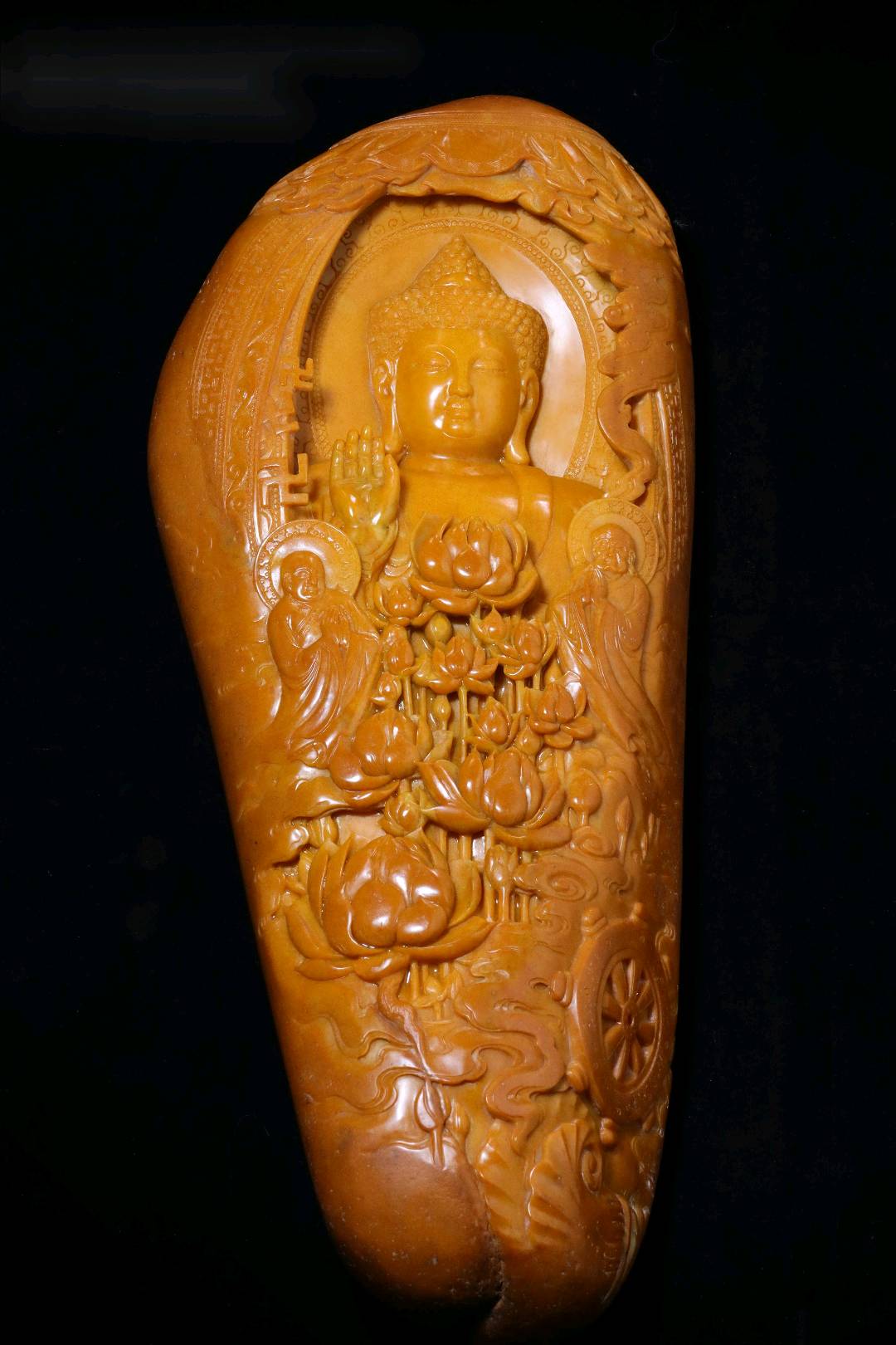 张红强的作品-