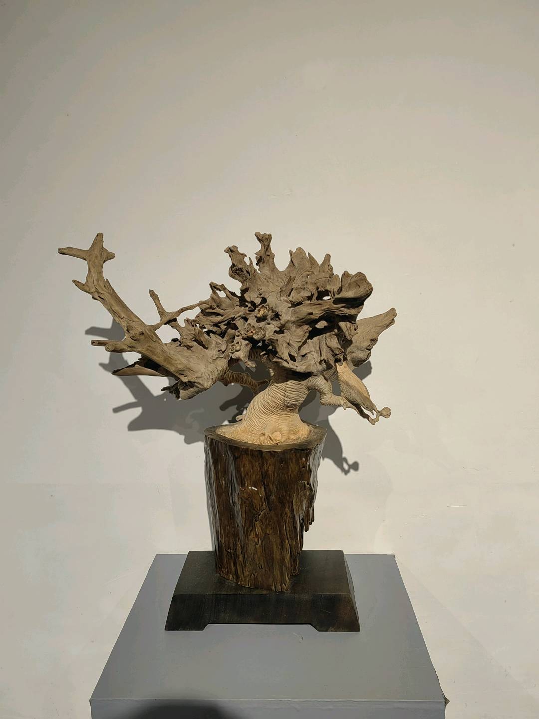 曹陈忠的作品-