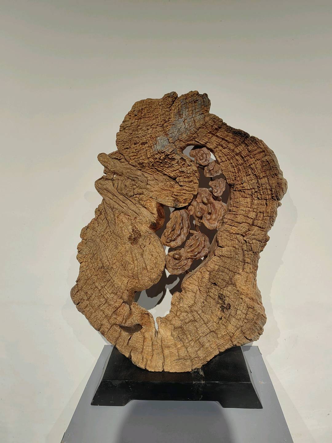 曹陈忠的作品-