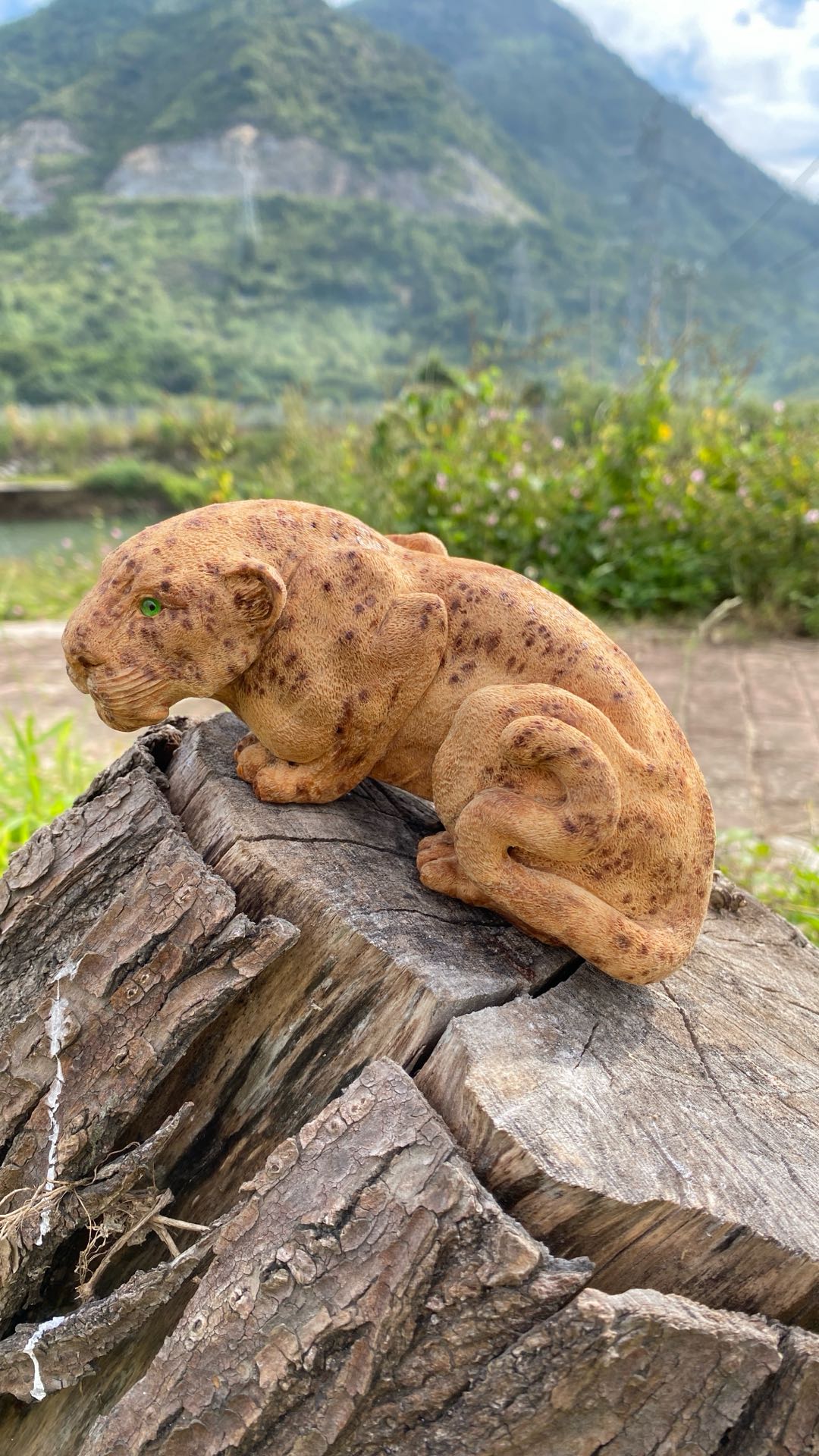 李翔的作品-