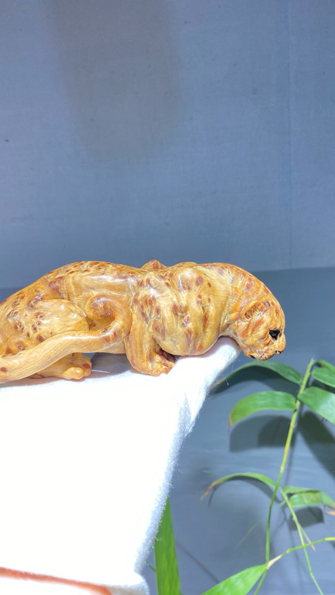 李翔的作品-