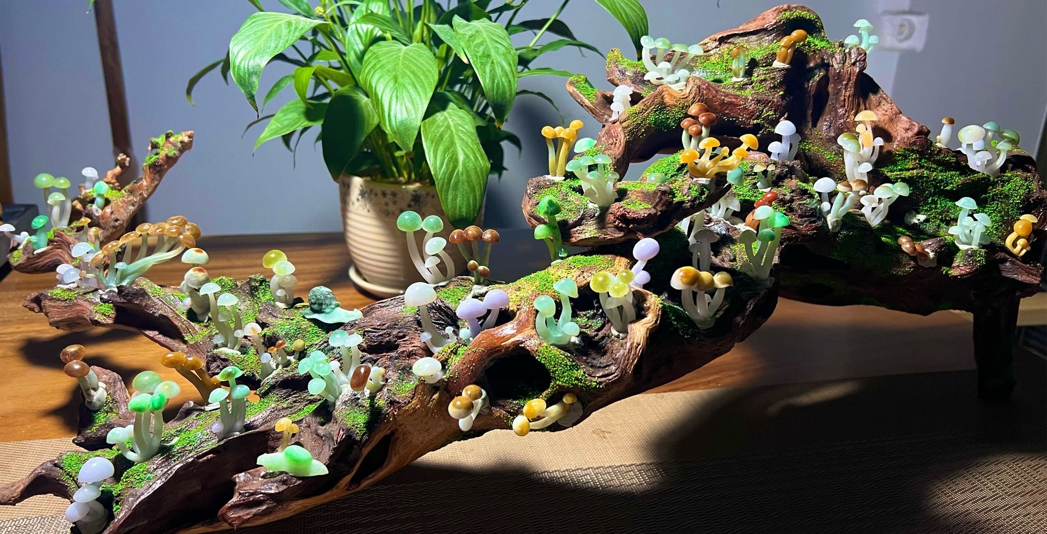 毛加助的作品-