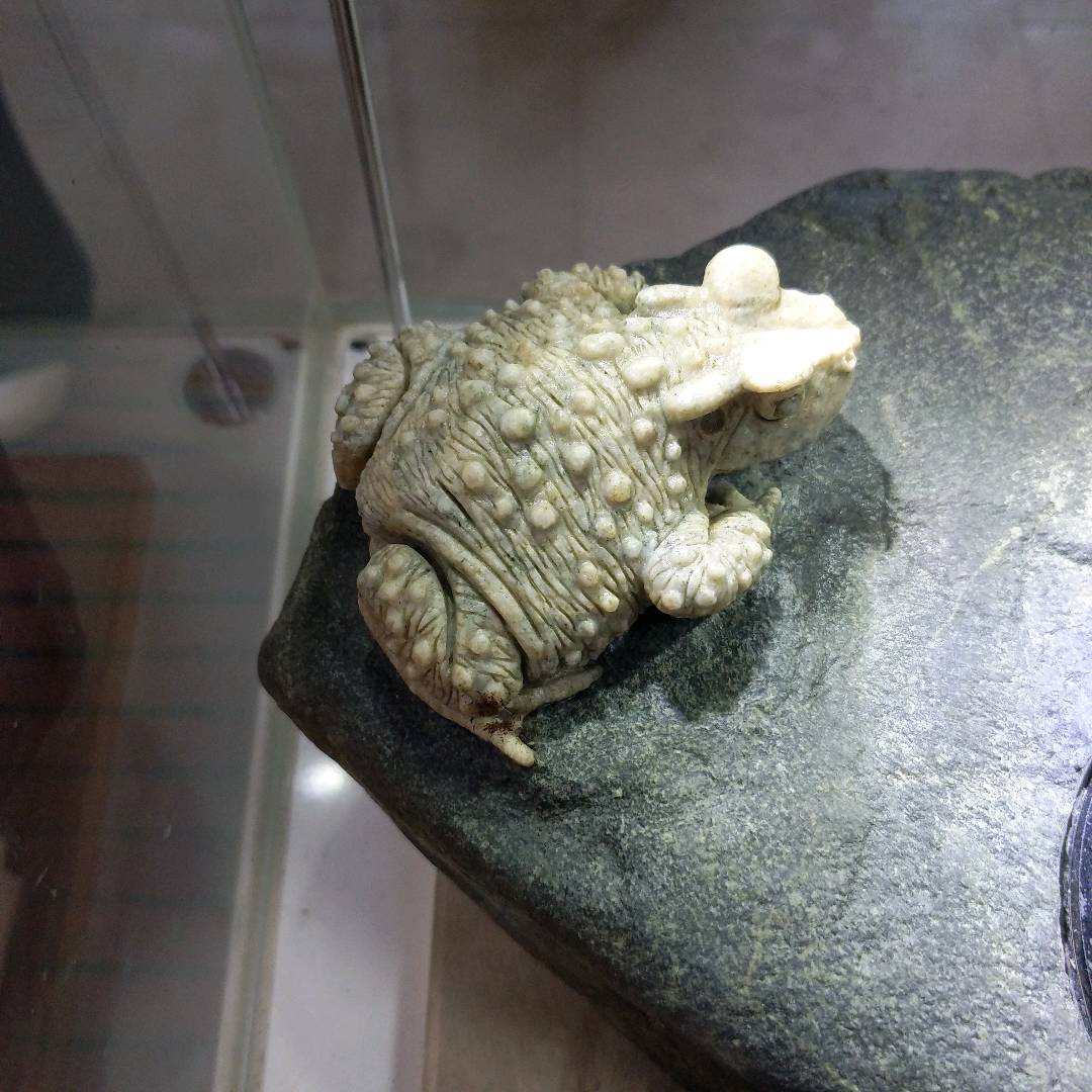娄金宿的作品-