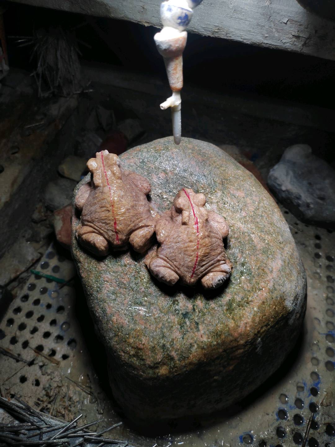 娄金宿的作品-
