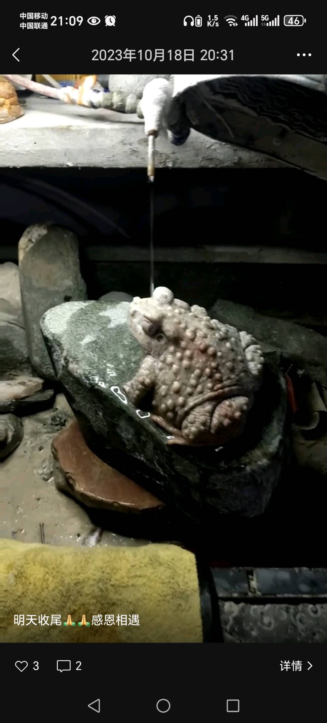 娄金宿的作品-