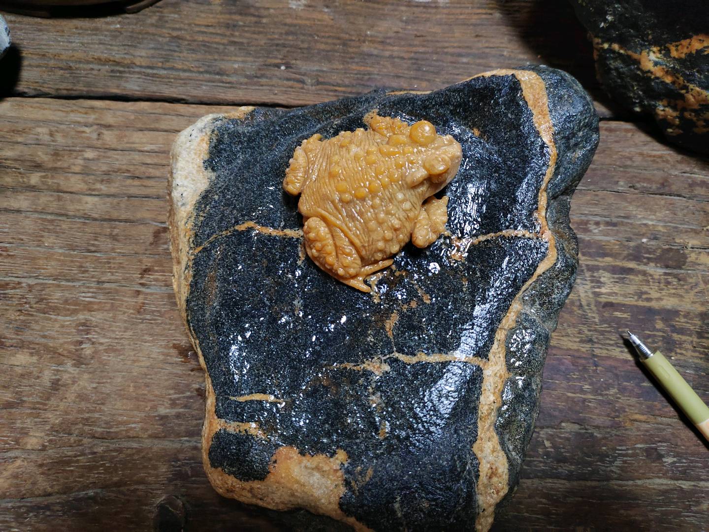 娄金宿的作品-