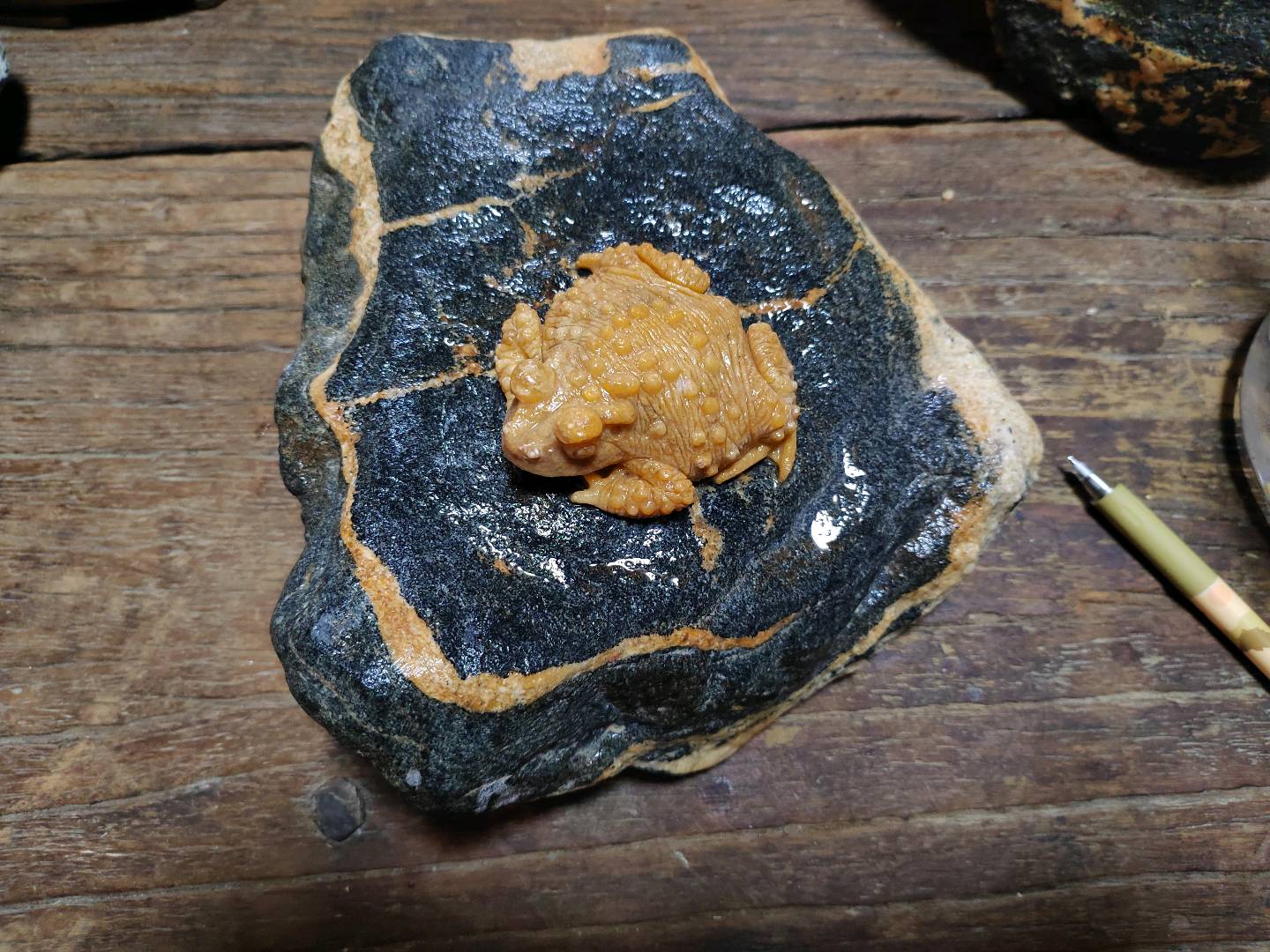 娄金宿的作品-