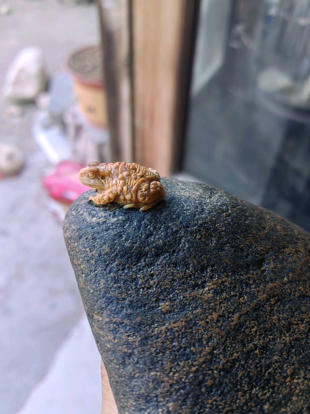 娄金宿的作品-