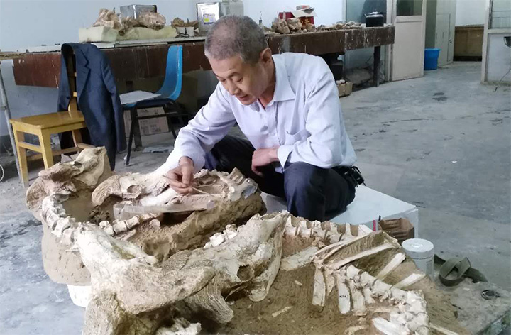杨国栋
