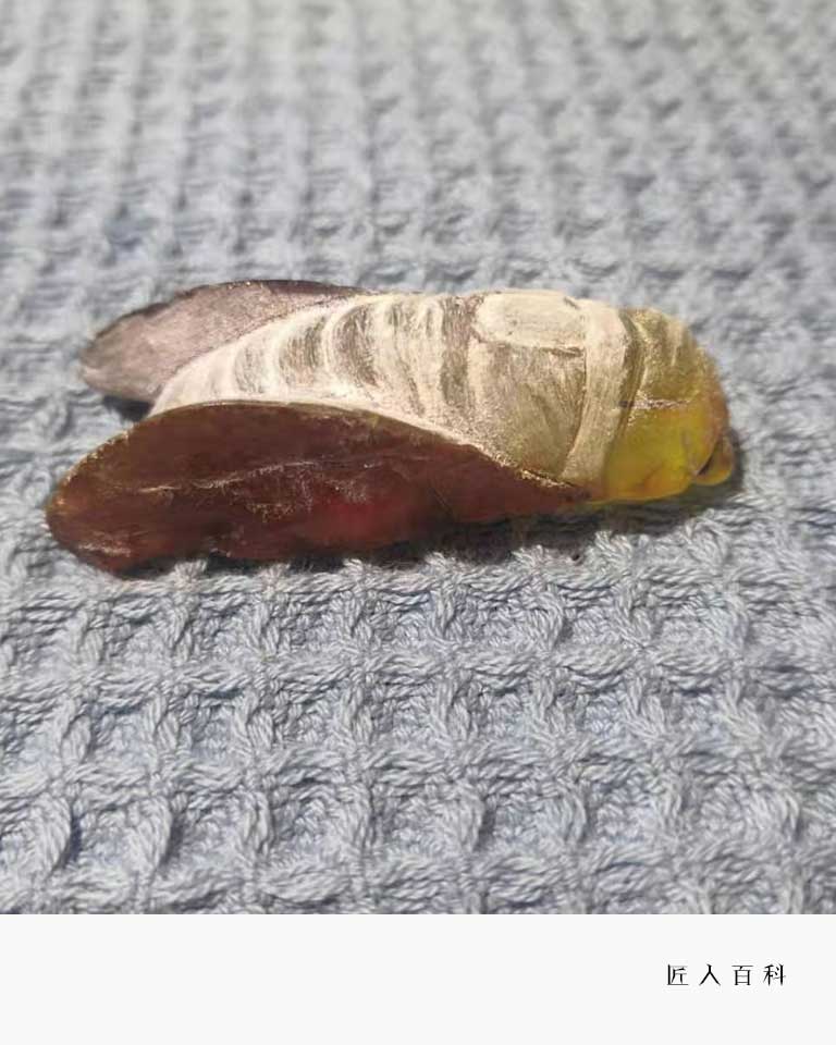 陈少勇的作品-陈少勇雕刻