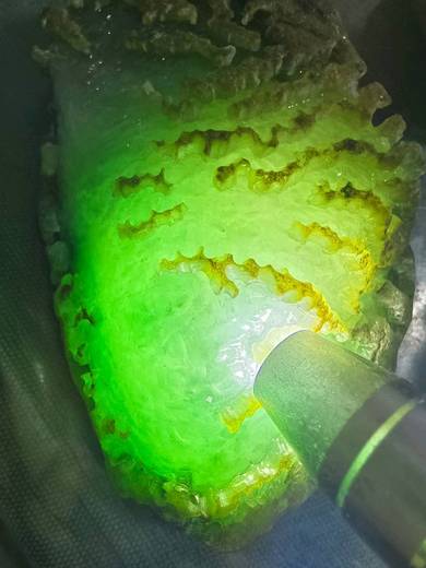 黄绵武的参考资料