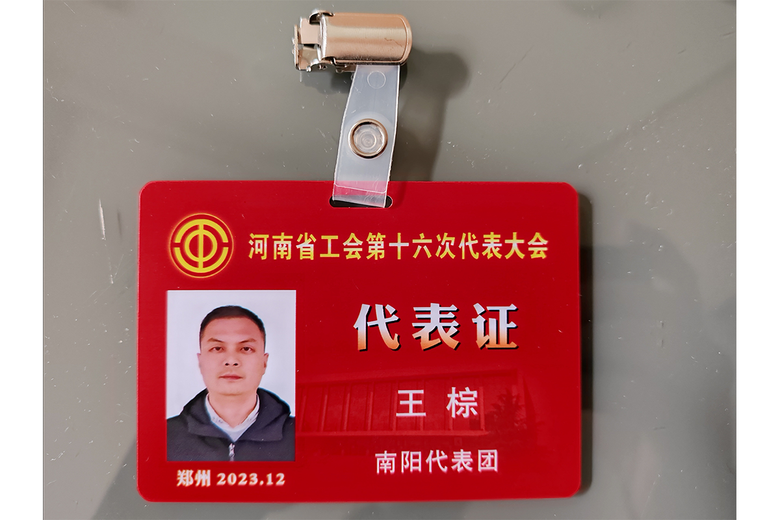 王棕的参考资料