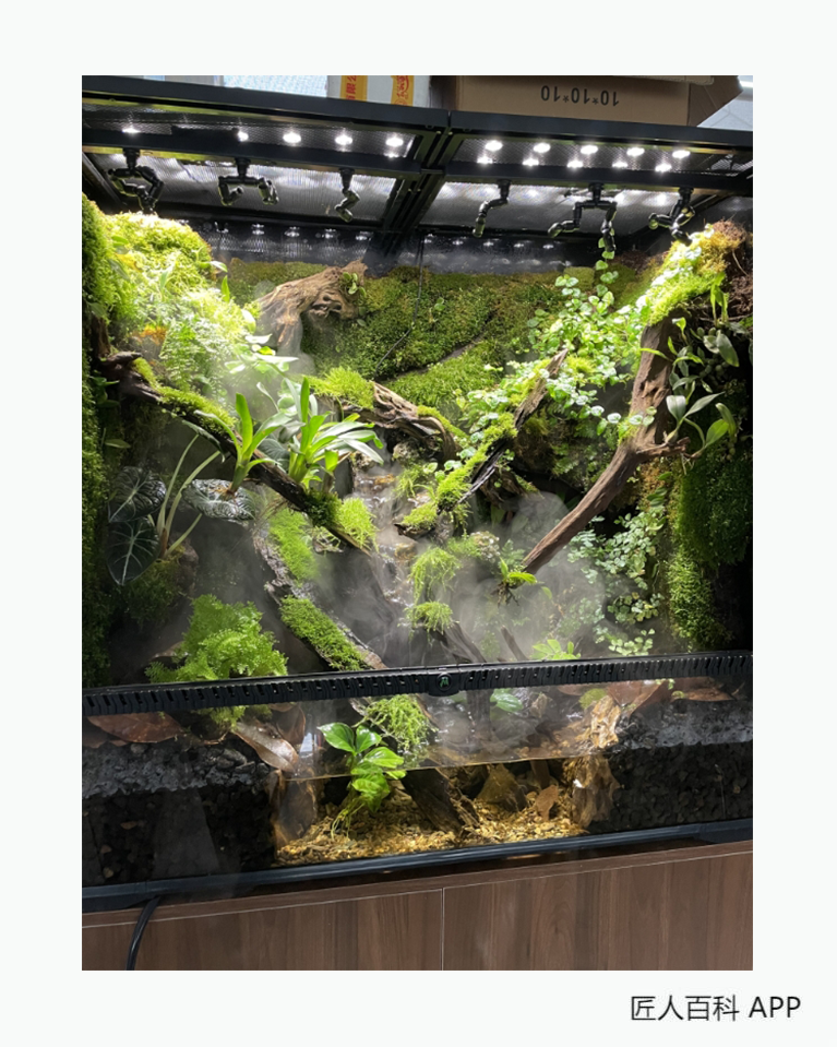 王小满的作品-王小满工艺品