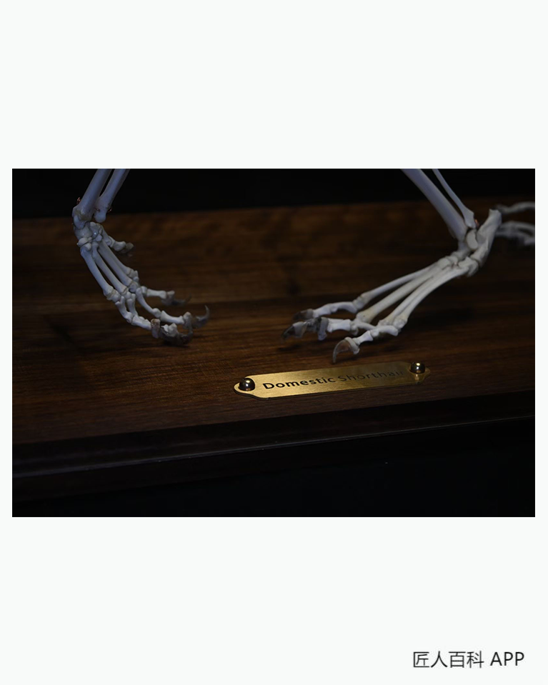 王小满的作品-王鹏工艺品