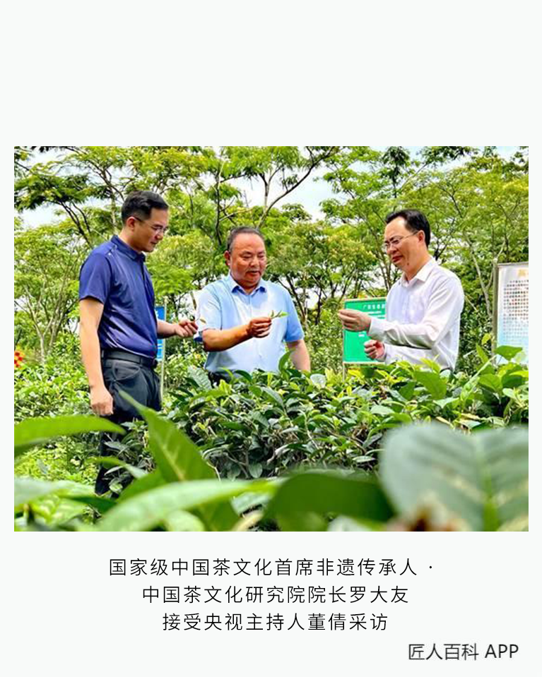 罗大友的作品-罗大友茶文化