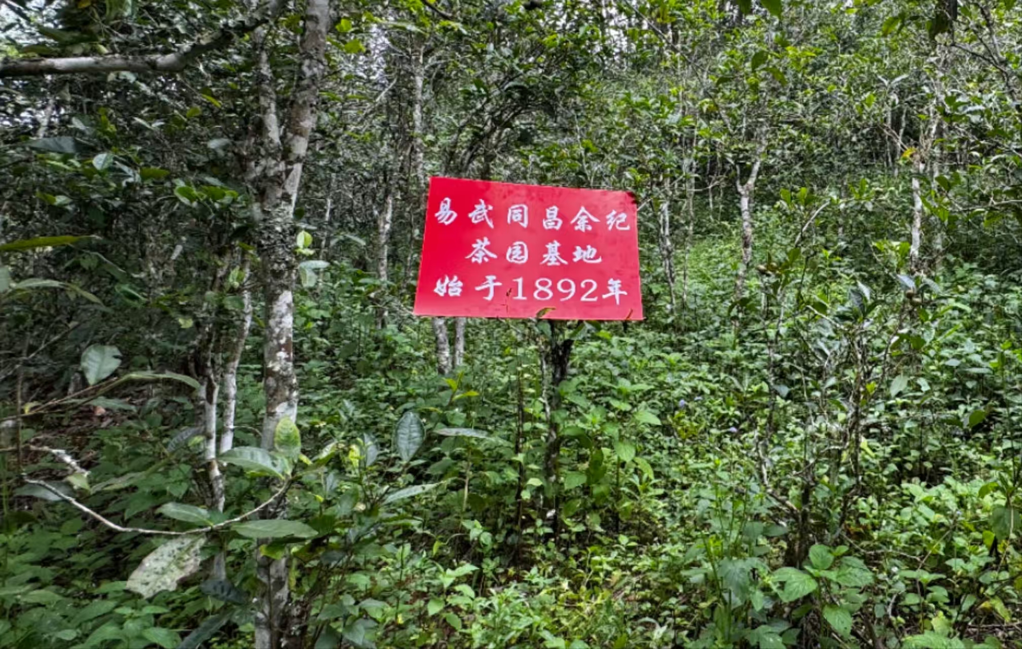 微信图片_20250903083754_105_1392.jpg