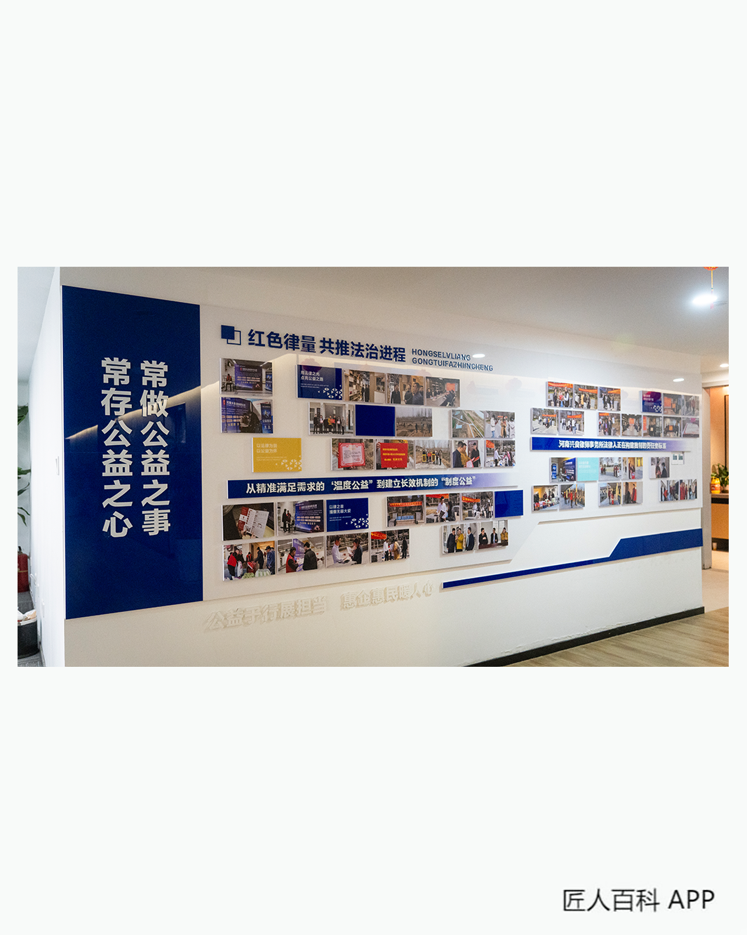 张盼盼(律师)的作品-张盼盼律师