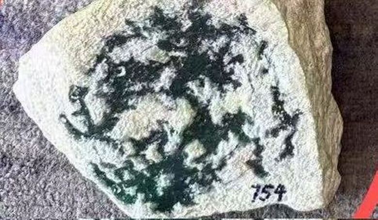 黄绵武的参考资料