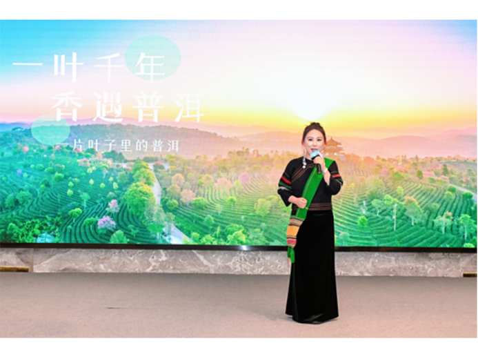徐燕婷的参考资料