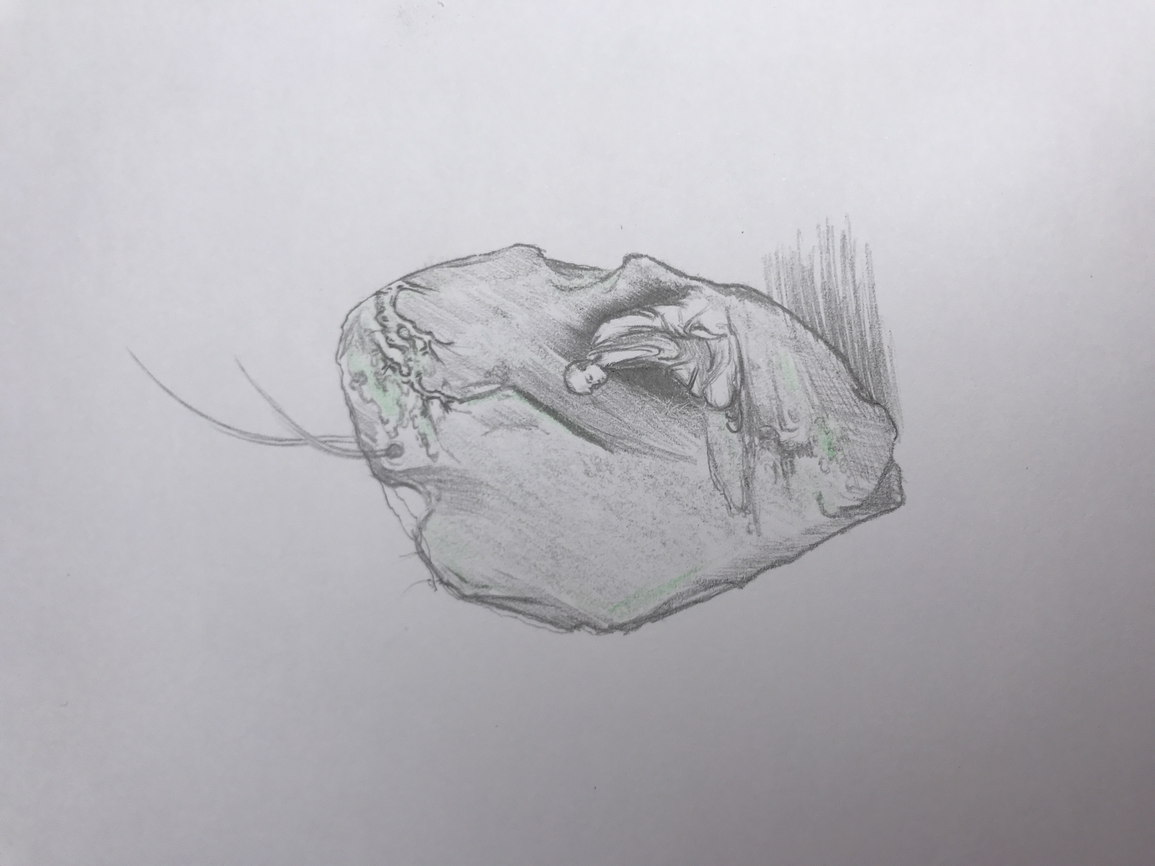徐文博的作品-徐文博作品