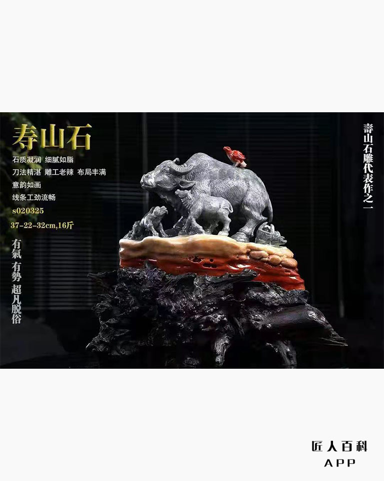 张金洪的作品-001.jpg