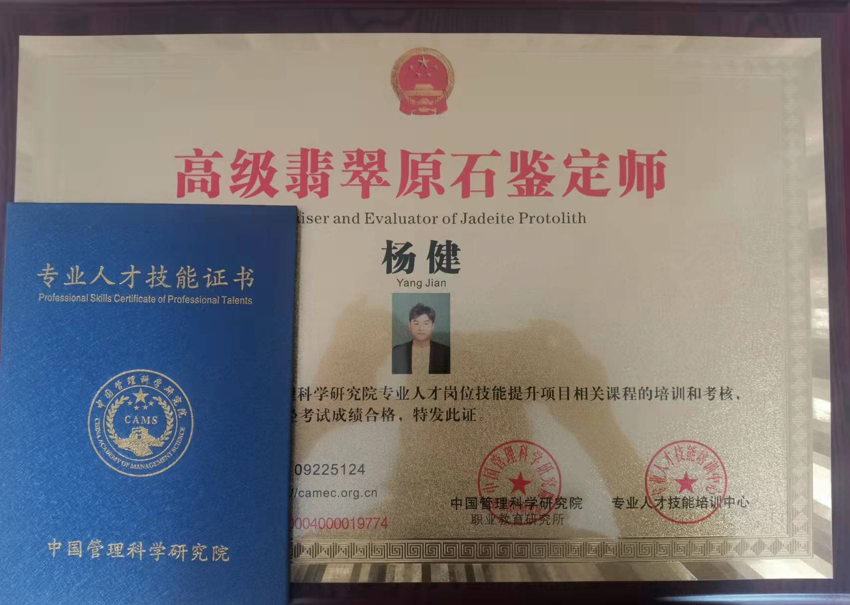杨健的作品-杨健珠宝