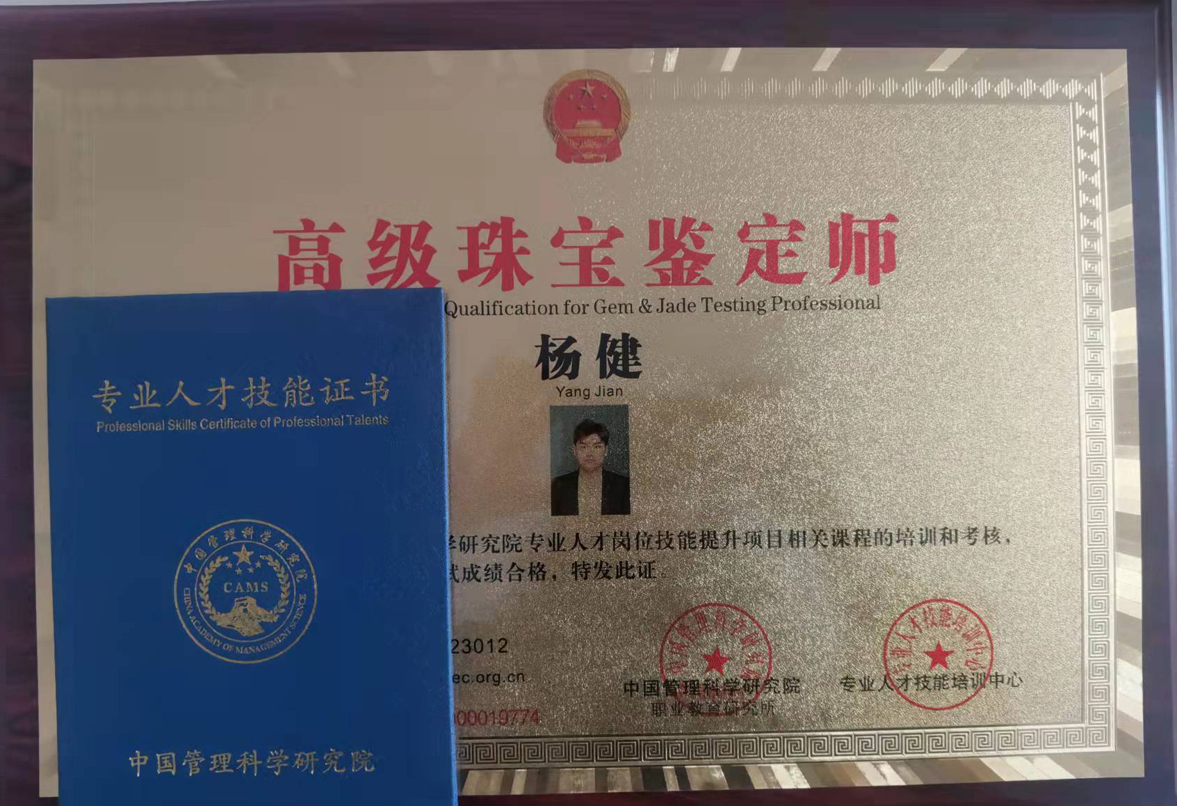 杨健的作品-杨健珠宝