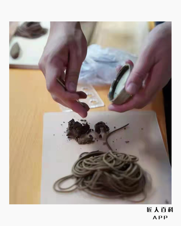 刘美杉的作品-7.jpg