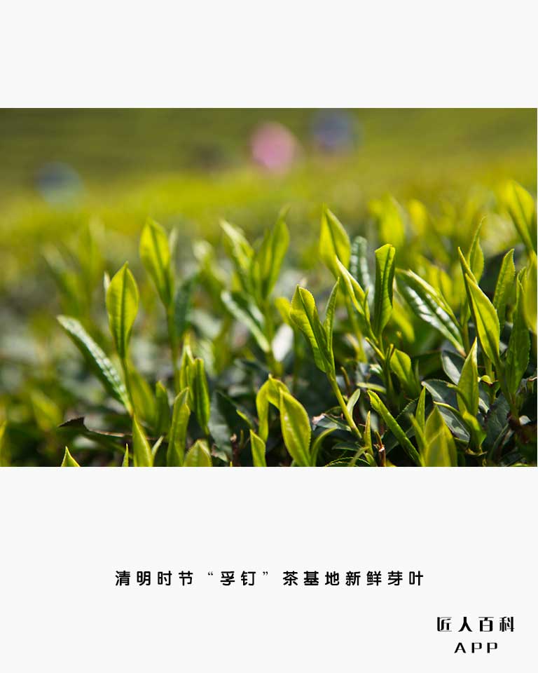 王永峰(非遗传承人)的作品-001.jpg