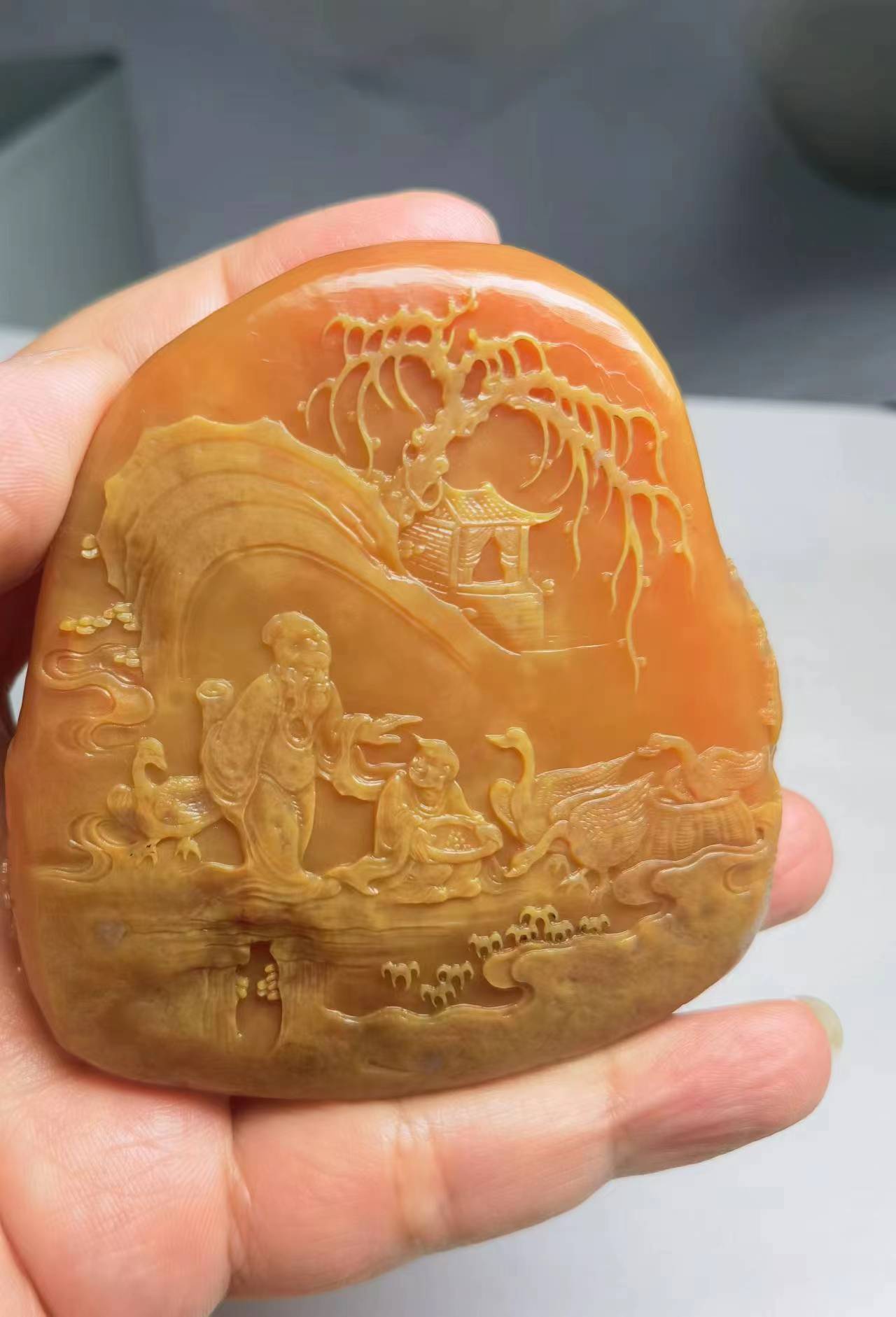 林志庆的作品-微信图片_202311041448335.jpg