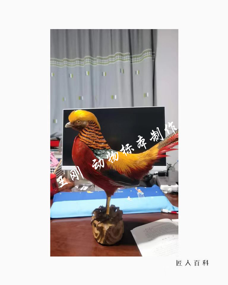 王刚(国家一级标本师)的作品-15.png