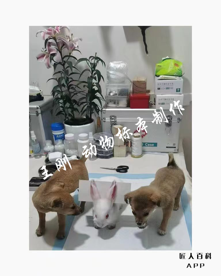 王刚(国家一级标本师)的作品-1.png