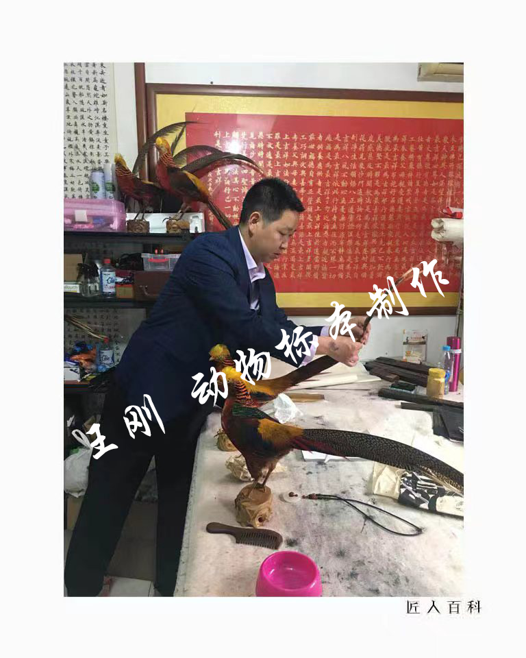王刚(国家一级标本师)的作品-5.png