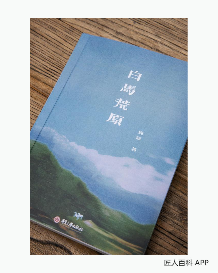周茜(青年作家)的作品-周茜作家